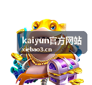 kaiyun官方网站 数字化转型实践