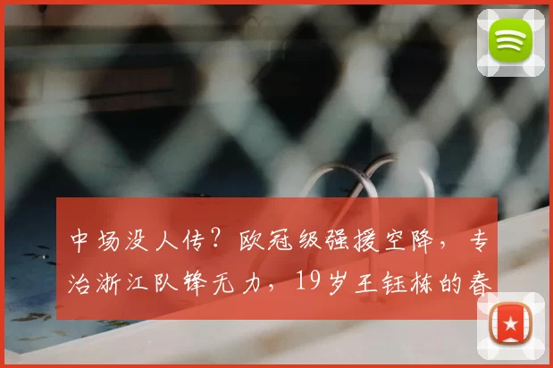中场没人传？欧冠级强援空降，专治浙江队锋无力，19岁王钰栋的春天来了_托利奇_赛季_萨格勒布迪纳摩
