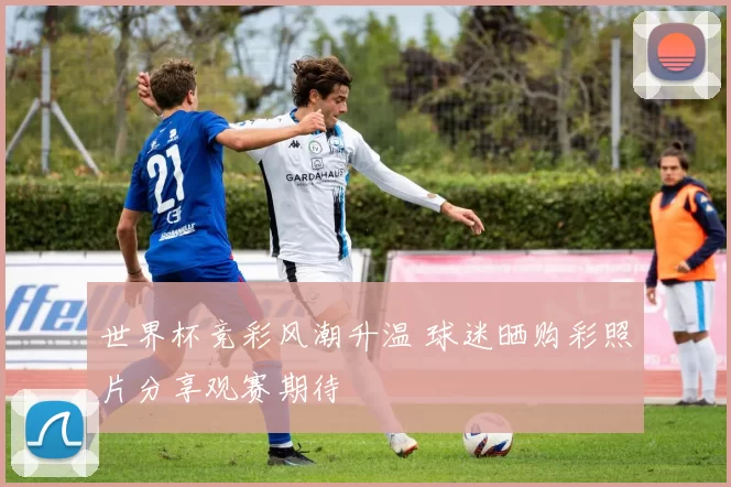 世界杯竞彩风潮升温 球迷晒购彩照片分享观赛期待