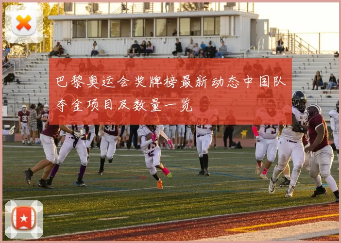 巴黎奥运会奖牌榜最新动态中国队夺金项目及数量一览