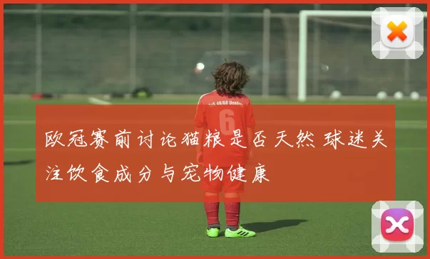 欧冠赛前讨论猫粮是否天然 球迷关注饮食成分与宠物健康